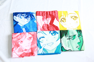 Penetration printing double-sided fleece blanket series~20