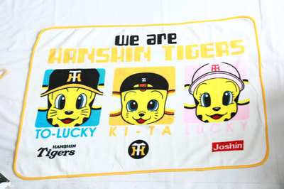 Penetration printing double-sided fleece blanket series~26